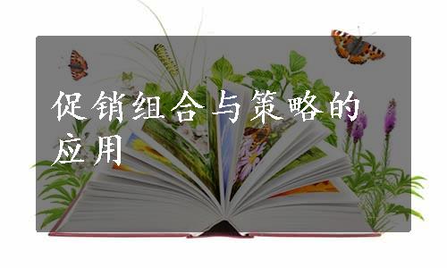 促销组合与策略的应用