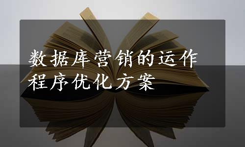 数据库营销的运作程序优化方案