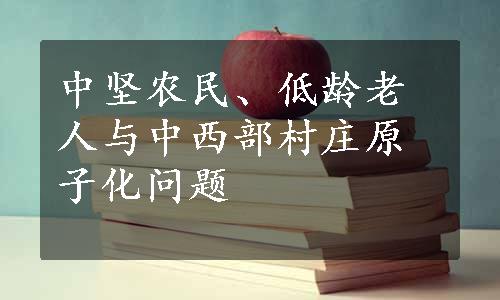 中坚农民、低龄老人与中西部村庄原子化问题