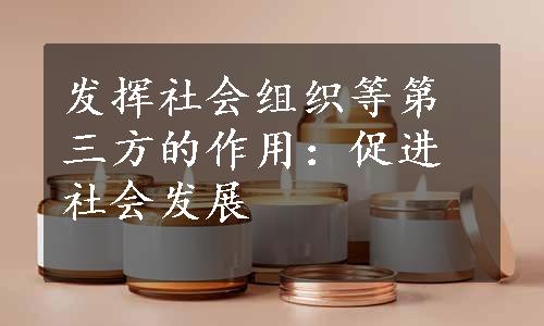 发挥社会组织等第三方的作用：促进社会发展