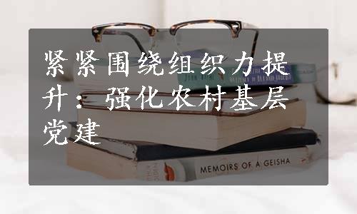 紧紧围绕组织力提升：强化农村基层党建