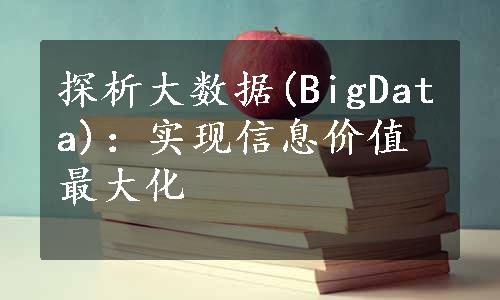 探析大数据(BigData)：实现信息价值最大化