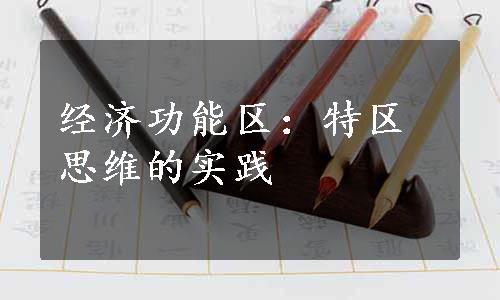 经济功能区：特区思维的实践