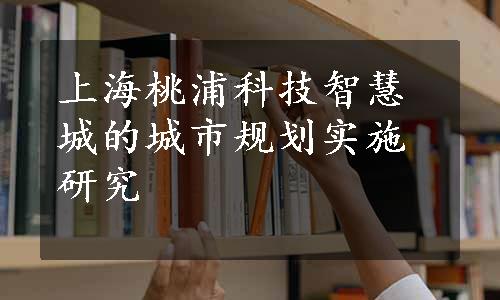 上海桃浦科技智慧城的城市规划实施研究