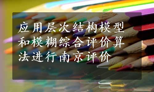 应用层次结构模型和模糊综合评价算法进行南京评价