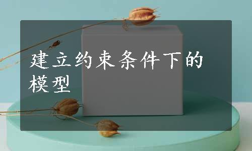 建立约束条件下的模型