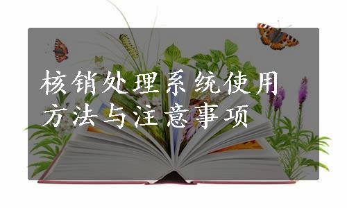 核销处理系统使用方法与注意事项