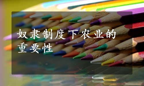 奴隶制度下农业的重要性