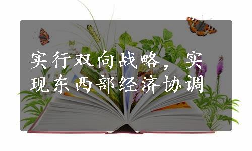 实行双向战略，实现东西部经济协调