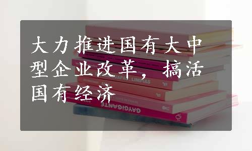 大力推进国有大中型企业改革，搞活国有经济