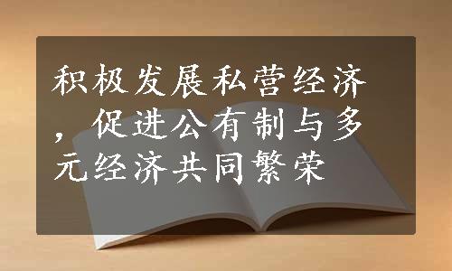 积极发展私营经济，促进公有制与多元经济共同繁荣