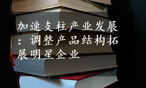 加速支柱产业发展：调整产品结构拓展明星企业