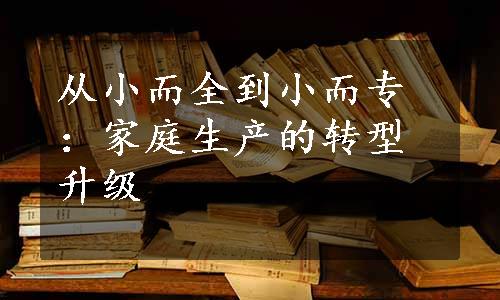 从小而全到小而专：家庭生产的转型升级