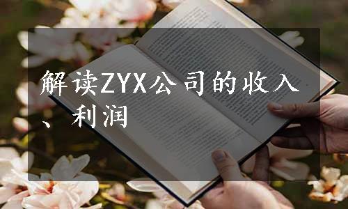 解读ZYX公司的收入、利润