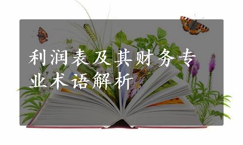 利润表及其财务专业术语解析