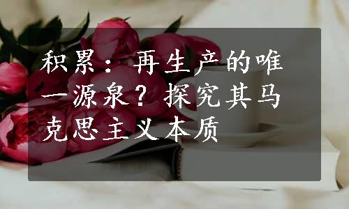 积累：再生产的唯一源泉？探究其马克思主义本质