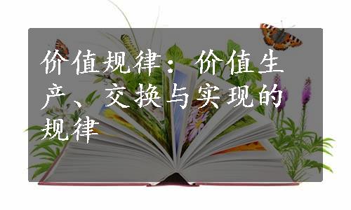 价值规律：价值生产、交换与实现的规律