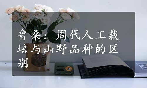 鲁桑：周代人工栽培与山野品种的区别