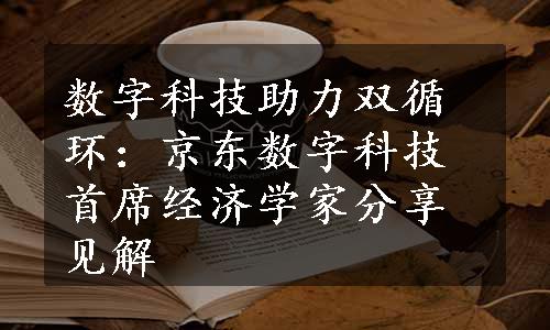 数字科技助力双循环：京东数字科技首席经济学家分享见解