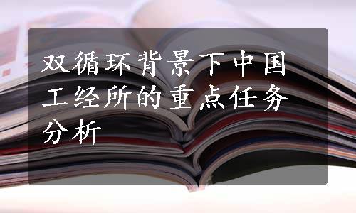 双循环背景下中国工经所的重点任务分析