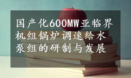 国产化600MW亚临界机组锅炉调速给水泵组的研制与发展