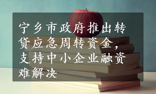 宁乡市政府推出转贷应急周转资金，支持中小企业融资难解决