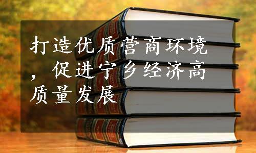 打造优质营商环境，促进宁乡经济高质量发展