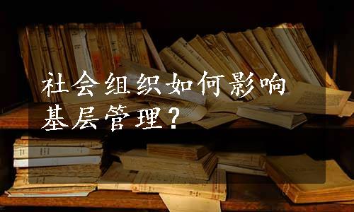 社会组织如何影响基层管理？