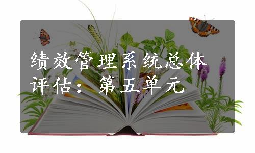 绩效管理系统总体评估：第五单元