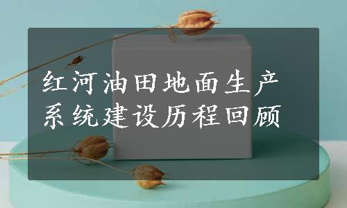 红河油田地面生产系统建设历程回顾