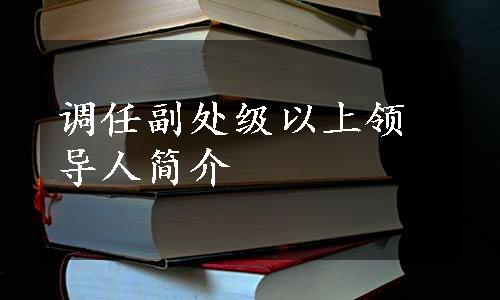 调任副处级以上领导人简介