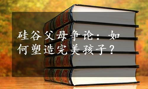 硅谷父母争论：如何塑造完美孩子？