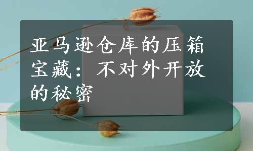 亚马逊仓库的压箱宝藏：不对外开放的秘密