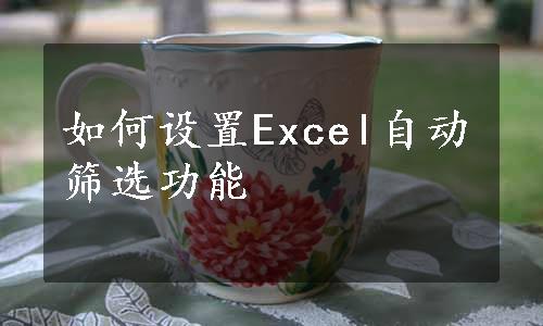 如何设置Excel自动筛选功能