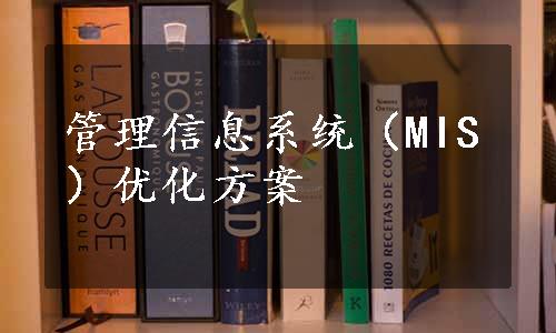 管理信息系统（MIS）优化方案