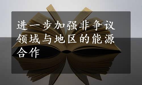 进一步加强非争议领域与地区的能源合作