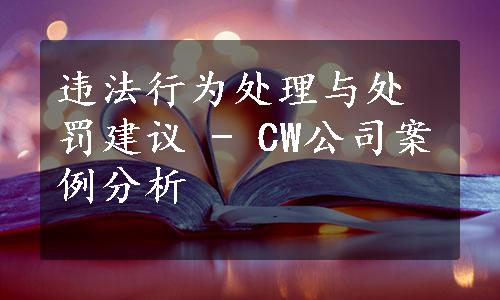 违法行为处理与处罚建议 - CW公司案例分析