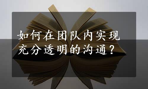 如何在团队内实现充分透明的沟通？