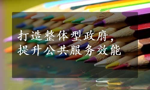 打造整体型政府，提升公共服务效能