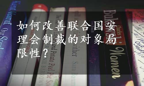 如何改善联合国安理会制裁的对象局限性？