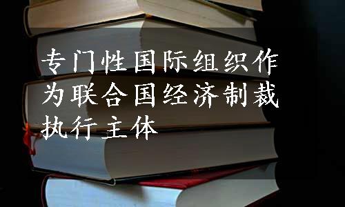 专门性国际组织作为联合国经济制裁执行主体