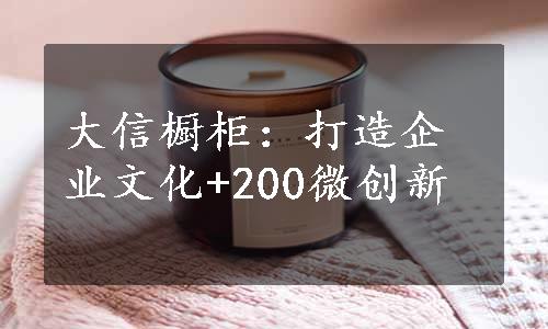 大信橱柜：打造企业文化+200微创新