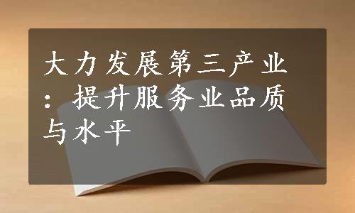 大力发展第三产业：提升服务业品质与水平