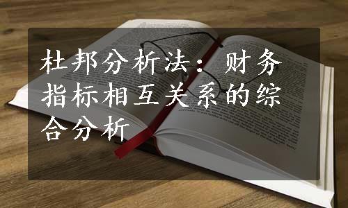 杜邦分析法：财务指标相互关系的综合分析