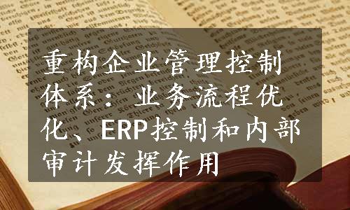 重构企业管理控制体系：业务流程优化、ERP控制和内部审计发挥作用