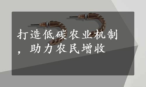 打造低碳农业机制，助力农民增收