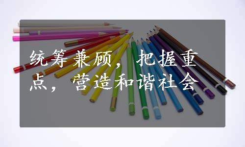 统筹兼顾，把握重点，营造和谐社会