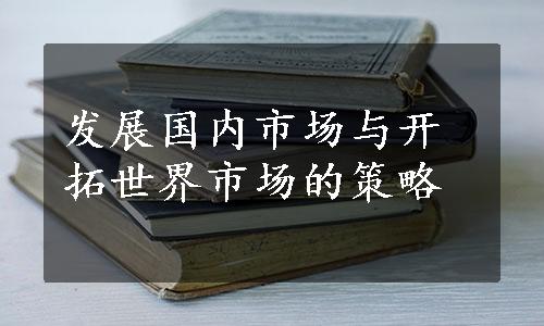 发展国内市场与开拓世界市场的策略