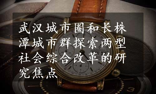 武汉城市圈和长株潭城市群探索两型社会综合改革的研究焦点