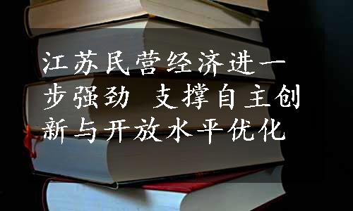 江苏民营经济进一步强劲 支撑自主创新与开放水平优化